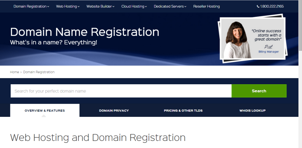 domainNameRegistration